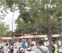 粉丝为抢先入园抽七宝挂件 购“早享卡”彻夜排队14小时仅中一张壁纸 ...
