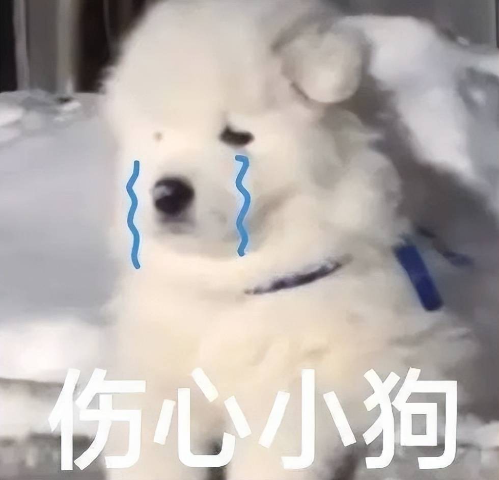 SqIggUhpn8PUnScl.jpg