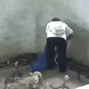 vkOO7DGJdWgdWyFD.jpg