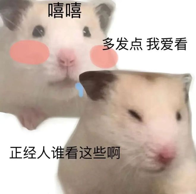 xo52i0i6xv3o6QI5.jpg