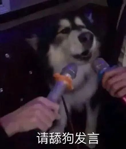 BCQfFfxQJNJX3FfG.jpg