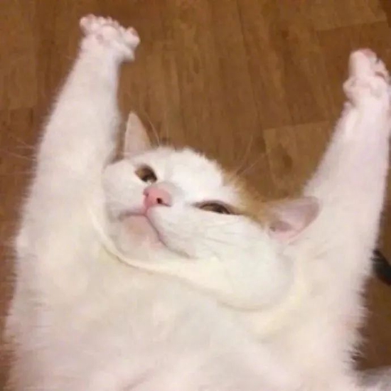 HqlaYyzhSVTTIap0.jpg