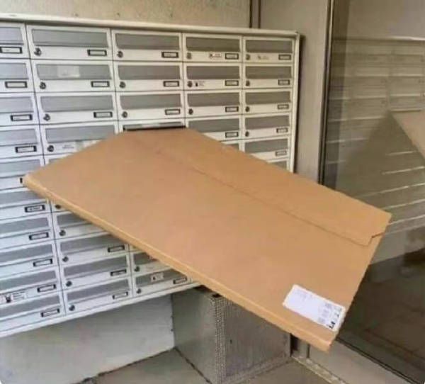 hU402i9G2PuQ0Jlp.jpg