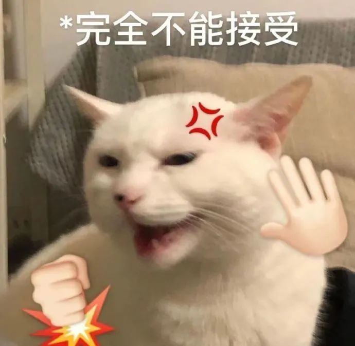 o4hvPR2fzaRXpZQh.jpg