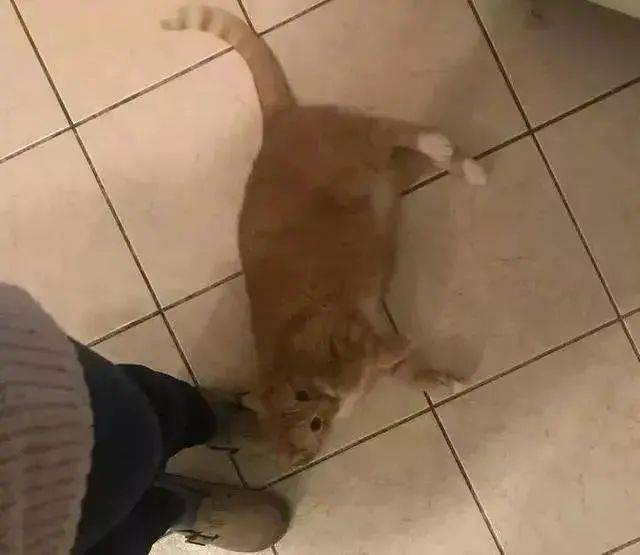 pqQGrj98tJzJ9oBr.jpg