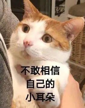 S3JM5Z5Q6893sByz.jpg