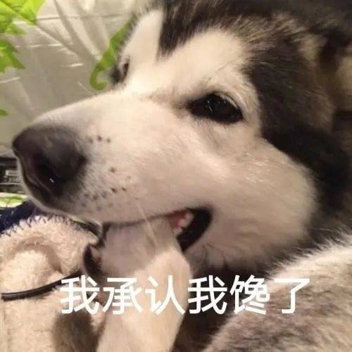 IT6qtHSo0ZSdZB2T.jpg