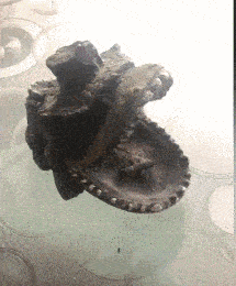 M08Zil0mIiGyppbx.jpg