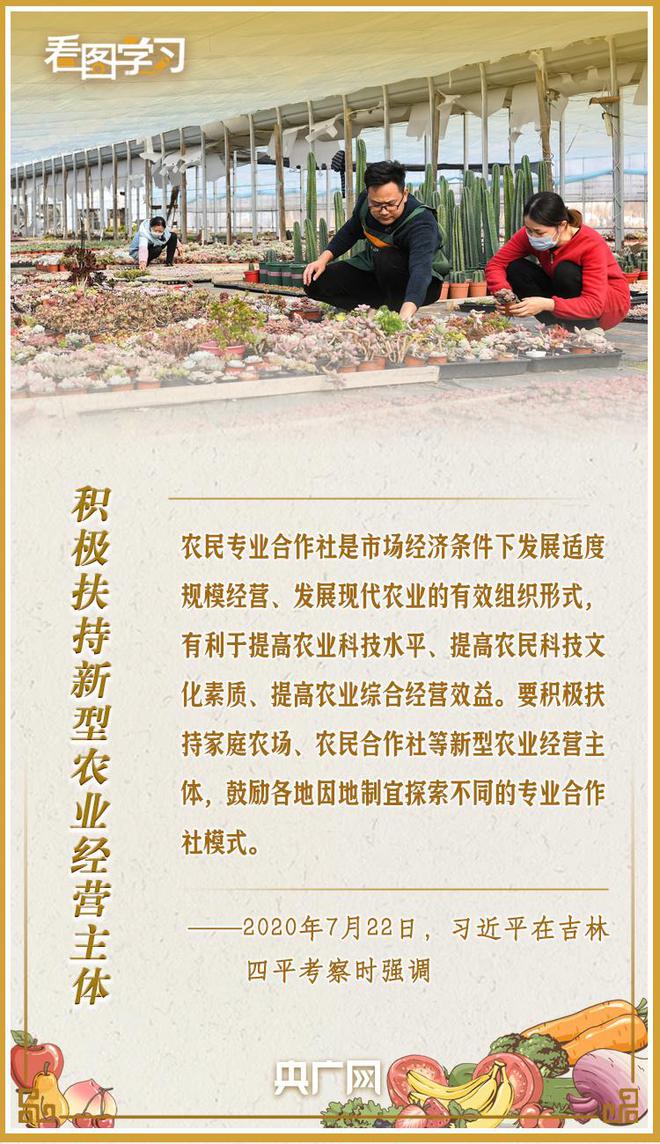 Zd442SLW4848ZnMw.jpg