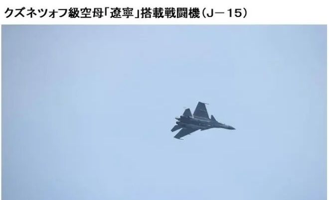 pT9O7lKftlV7ffm7.jpg