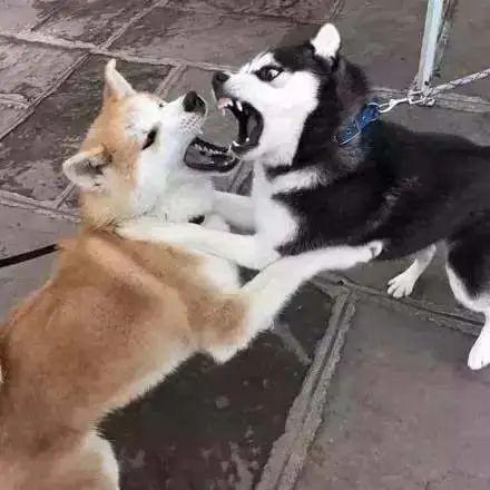 XqzWXkjPIXNAwQpb.jpg XqzWXkjPIXNAwQpb.jpg