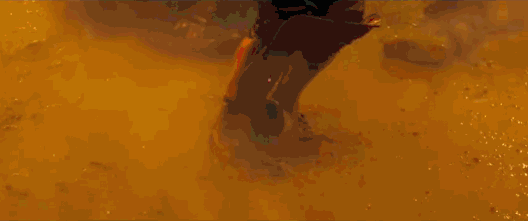 NszJqtnTPScmHfFO.jpg