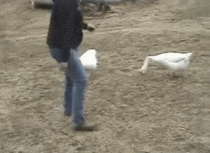 JkDCjC9CGBc22Z9g.jpg