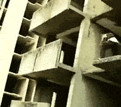 uf6iFhNzBw6hg3j6.jpg
