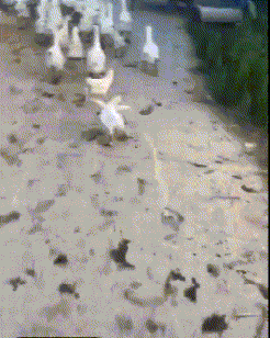 LdL6yAcLYE6DcypP.jpg