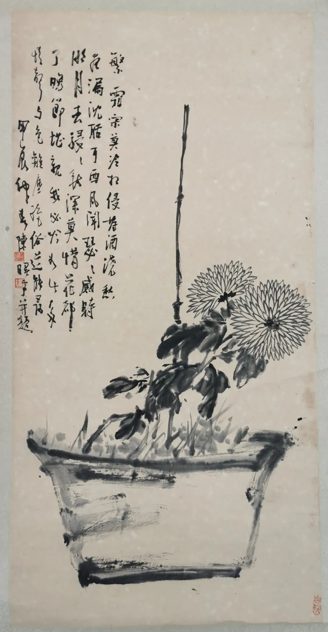 zk9sCs4MRMt85S55.jpg