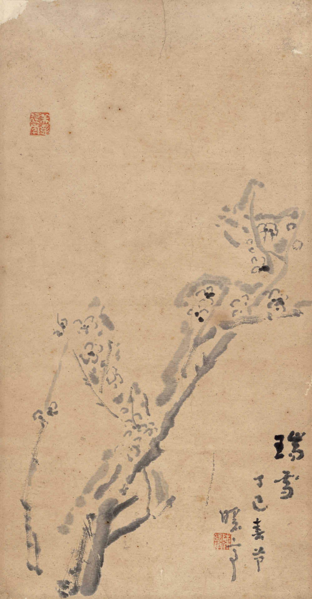 Er54DM852C2R7Nr4.jpg