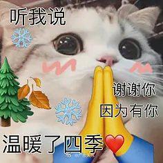 r2u4782748RbrTHr.jpg