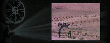 e6Qkm8qkkodc840e.jpg