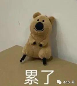 wEuB6y3J9ZzUsCc1.jpg