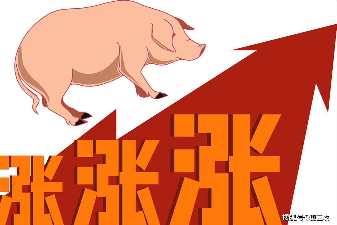 UFBvU38oxz6FPSF8.jpg