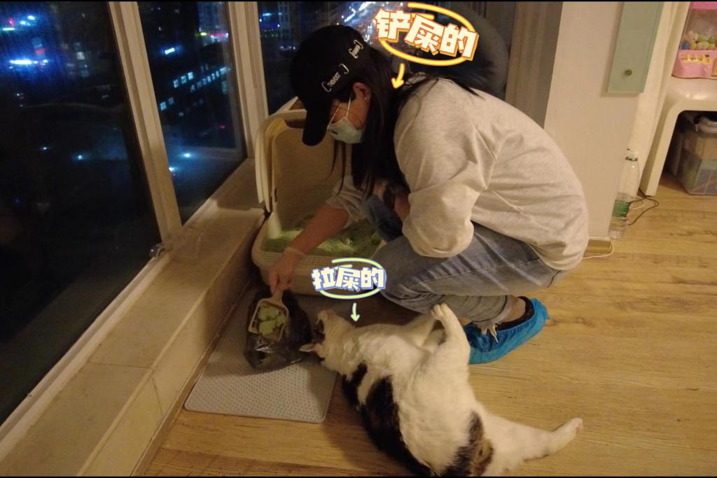 qvE5E3CeVE39Oe5K.jpg qvE5E3CeVE39Oe5K.jpg