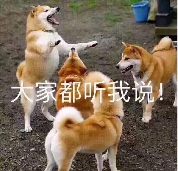 zBWt7xx1bZwbOol7.jpg zBWt7xx1bZwbOol7.jpg