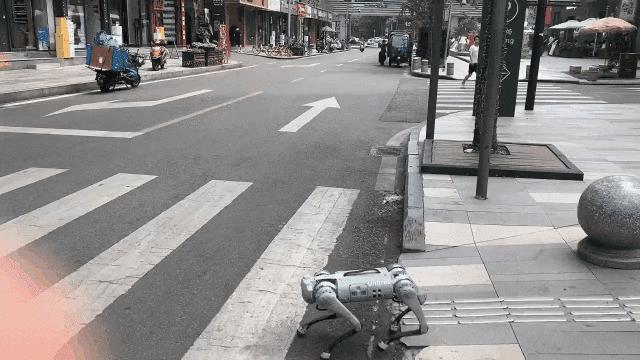 uToTLL045m2J0sui.jpg uToTLL045m2J0sui.jpg