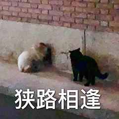 fDCwxA9pdtWH9HTb.jpg fDCwxA9pdtWH9HTb.jpg
