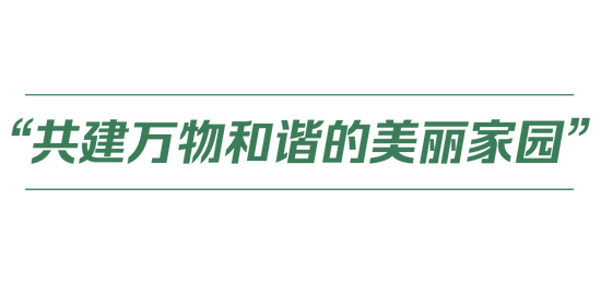 jDdwoHbjqW2772WH.jpg jDdwoHbjqW2772WH.jpg