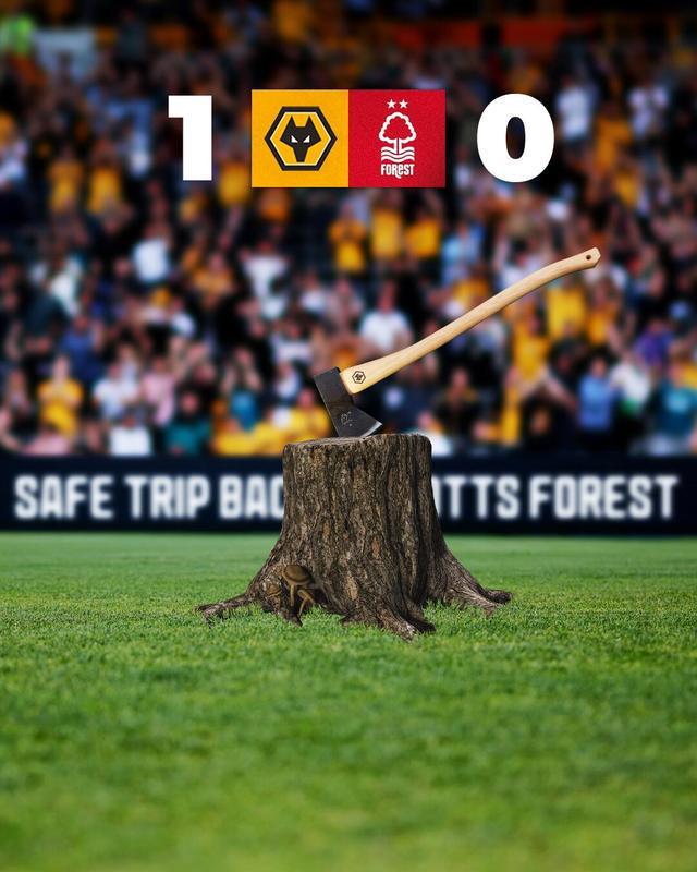 m6glf6y1ZyYyM9yV.jpg