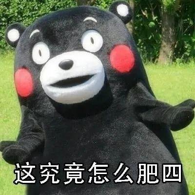 KVJBZwrSGTlfRYd5.jpg