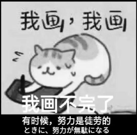 x7N48j41n48ip8IY.jpg
