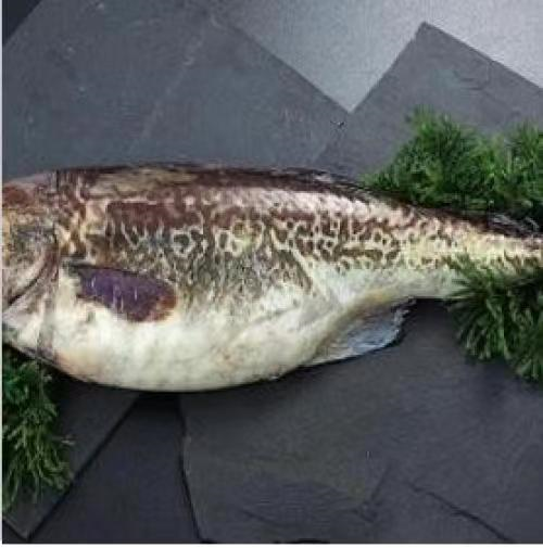 Ovl35l65fVJzrfl9.jpg