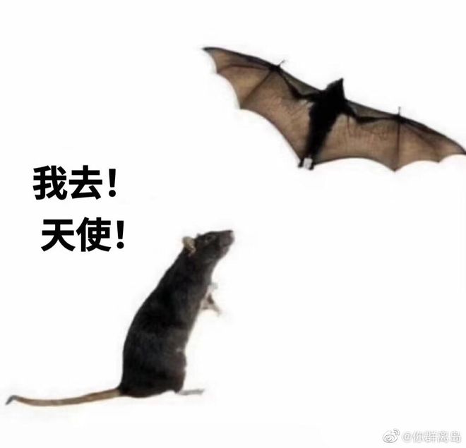 Q84t1x3p4GwX48T8.jpg