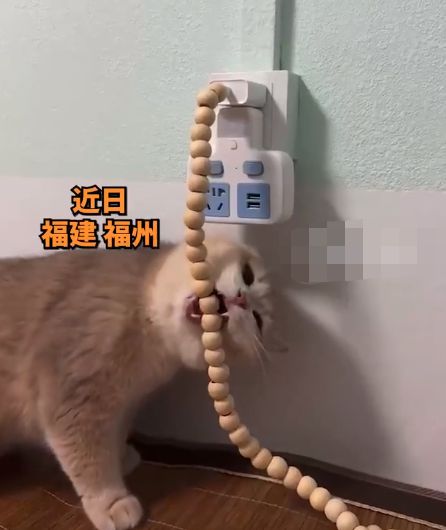 HdZL5MR8Hd8w1a9G.jpg