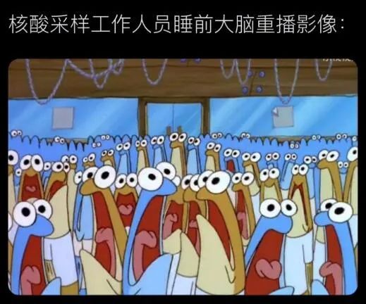 p3t1l4tKPT1hUKg1.jpg