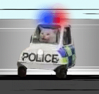 w6600Y4Qr0ya0m0d.jpg