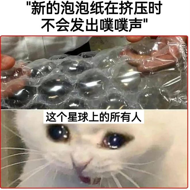 l562WfqKpCp26b7c.jpg