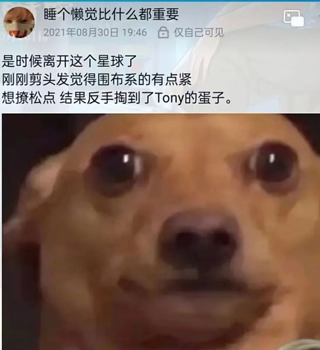 l4sJfll474z4aAt7.jpg