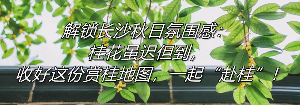 ibZ899bRL5583k2l.jpg
