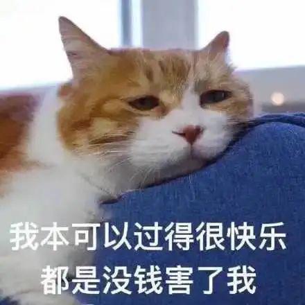 A86X6xOtIOIIi06q.jpg A86X6xOtIOIIi06q.jpg