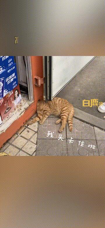 Jp061rL64C4a7Up6.jpg Jp061rL64C4a7Up6.jpg
