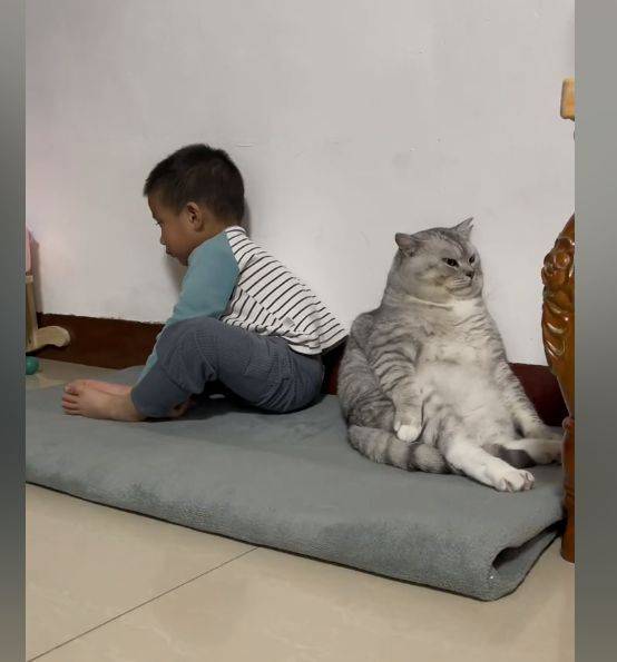lmY0SIOoYt91SIi9.jpg