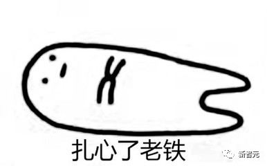 VK0zz3995klL9655.jpg