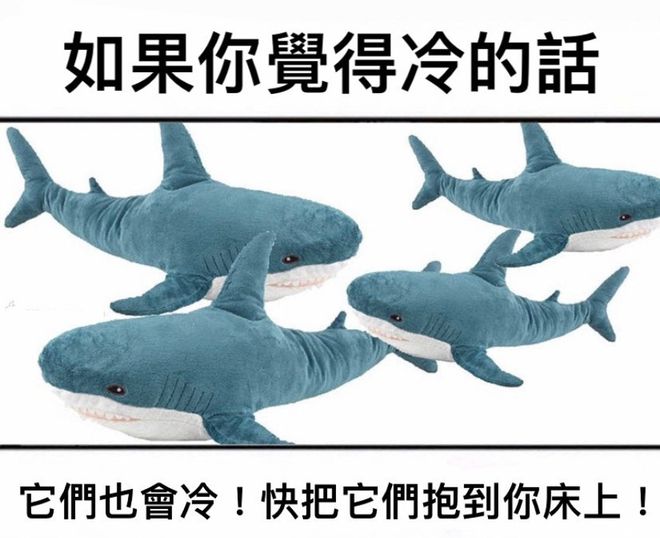 H6623hjFh23wjOw3.jpg
