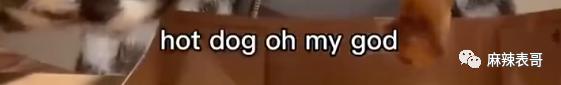 ME3ZEC4B36Zn36Z3.jpg