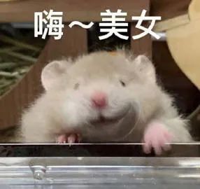 Y3CGgnWGI4ggK4w6.jpg