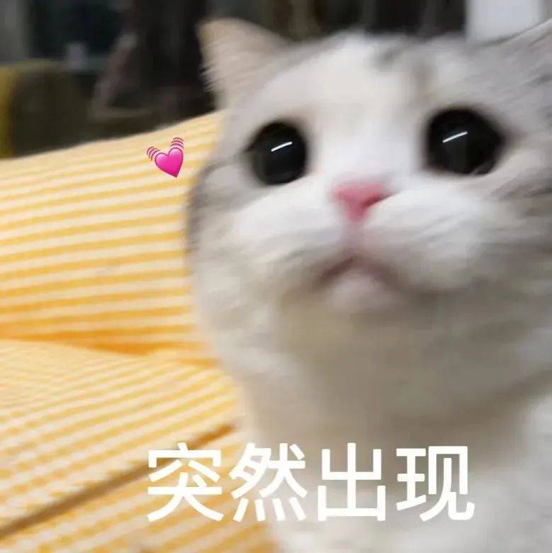 oP4S8N2F8Os2mMAf.jpg