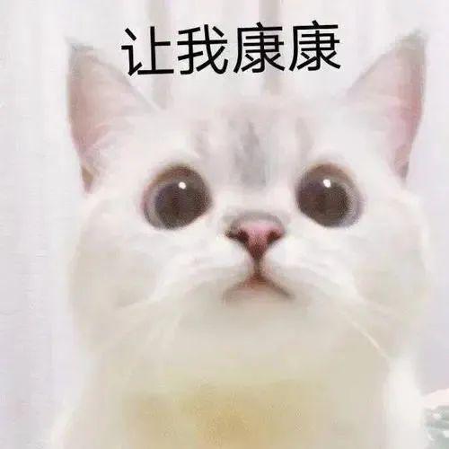 OCu7U3yNn0URY9Ew.jpg OCu7U3yNn0URY9Ew.jpg